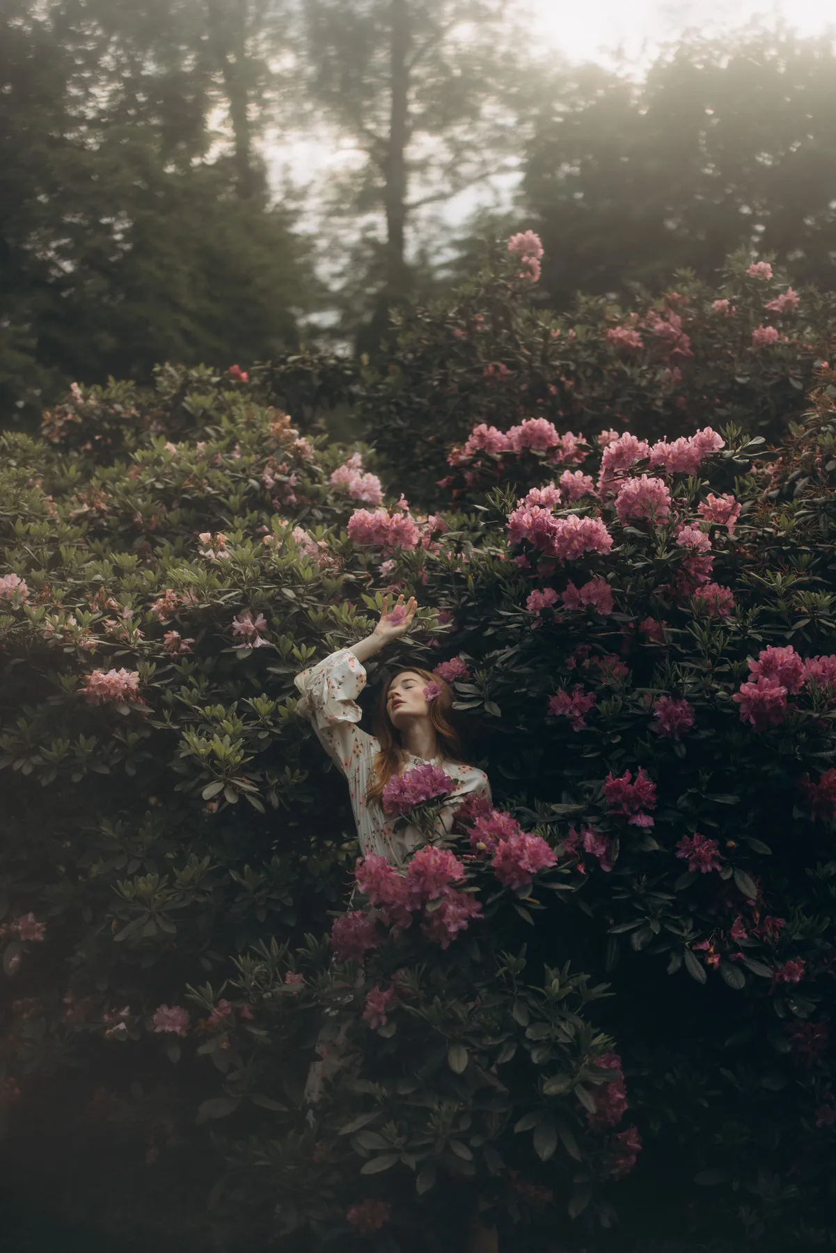 Woman among flowering rhododendrons in the woods
