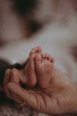 Familienfoto Newborn Shooting. Nahaufnahme von Babyfüßen auf einer Handfläche